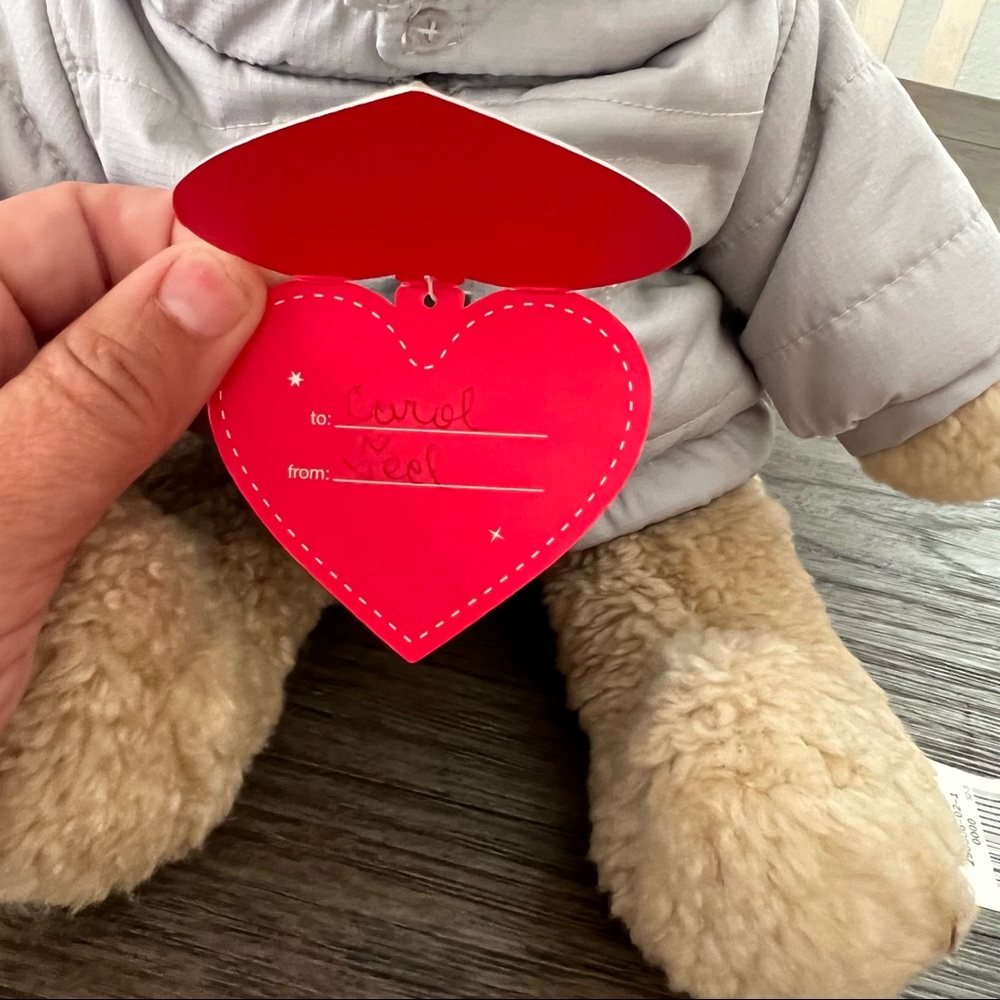 Baby Gap Brannan Baby Bear Winter Jacket Limited Edition - Picture 9 of 11